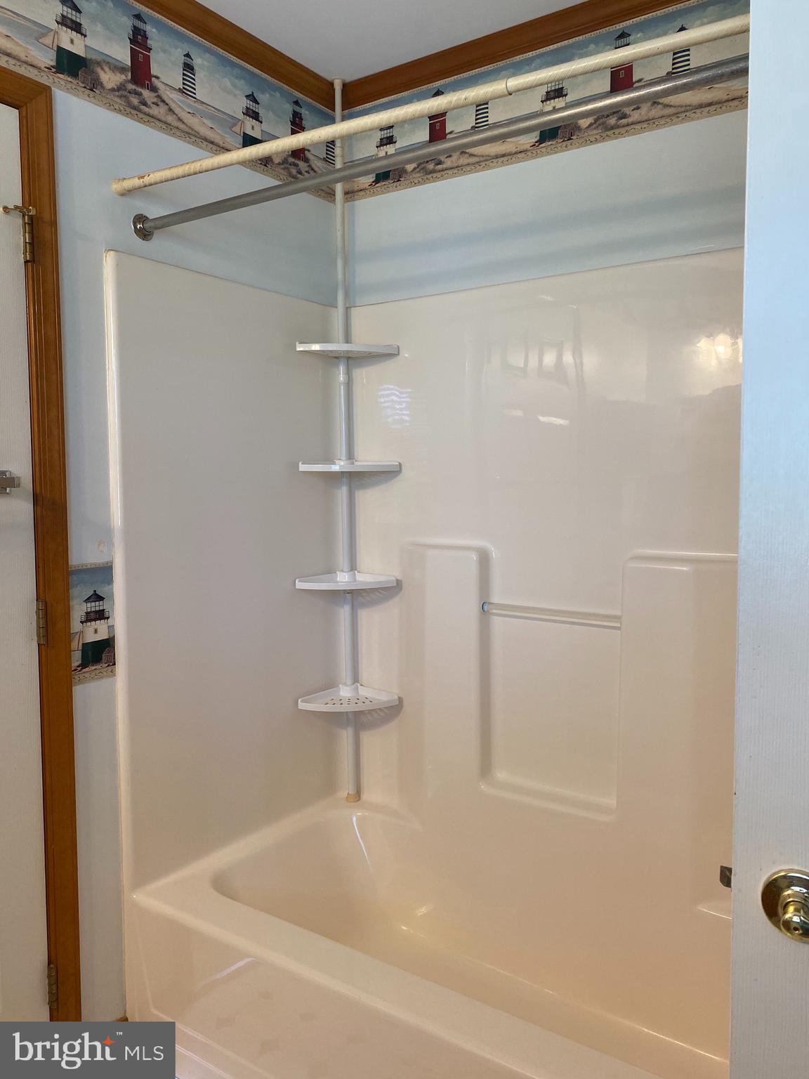12265 Laurel Road Laurel, DE 19956 - Photo 12 of 23 Masterbathroom tub shower combo
