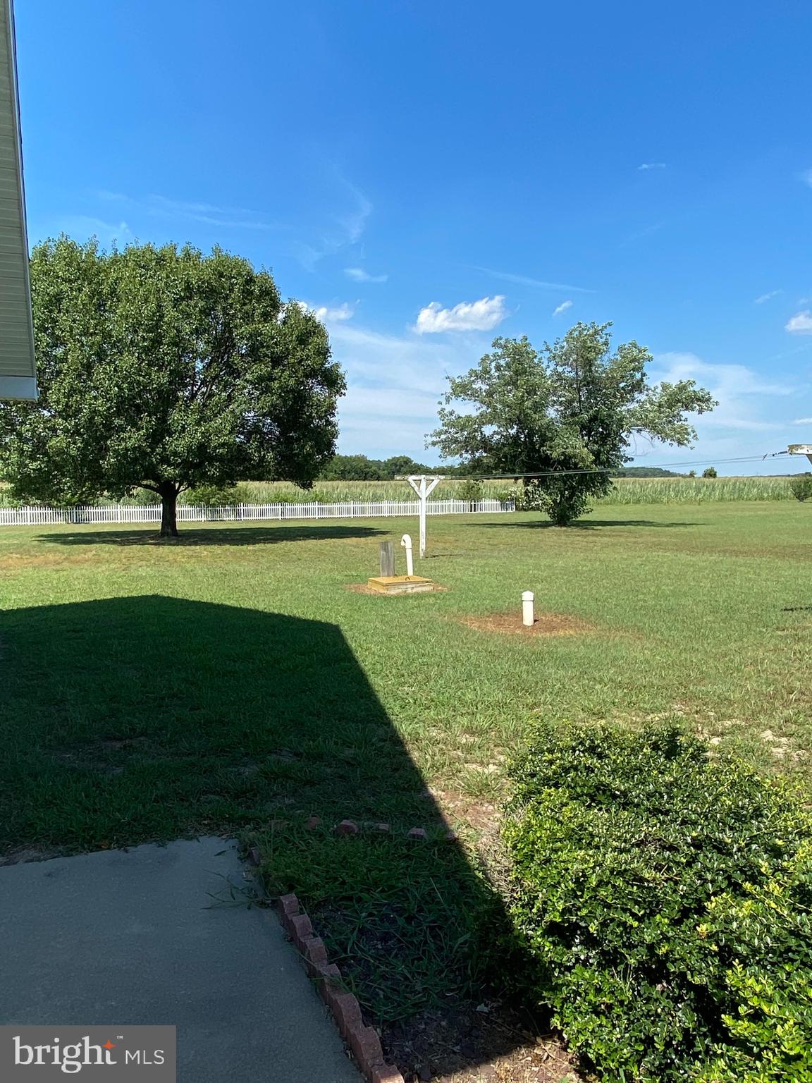 12265 Laurel Road Laurel, DE 19956 - Photo 4 of 23 Spacious back yard with a few of the field behind