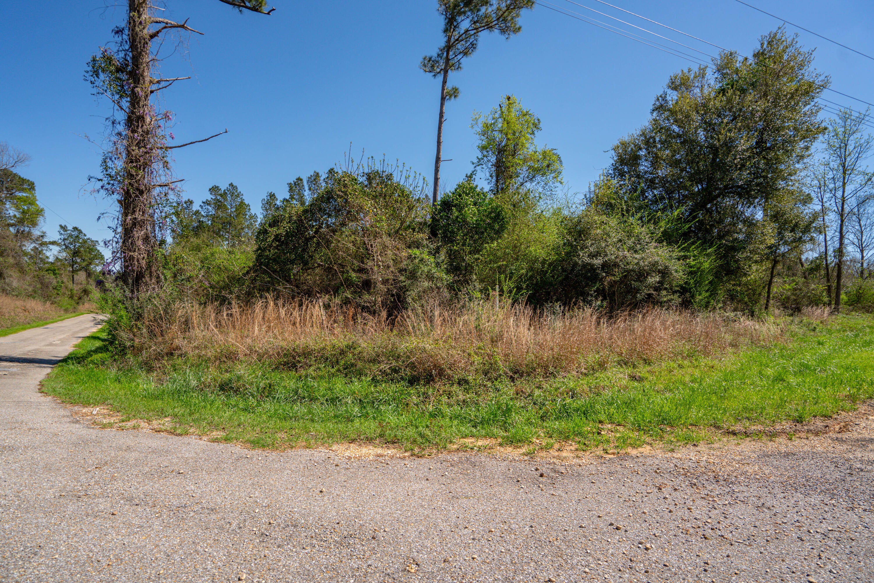 Lot 10 Timothy Road Ellisville, MS 39437 - Photo 17 of 17 Gallery Image 17