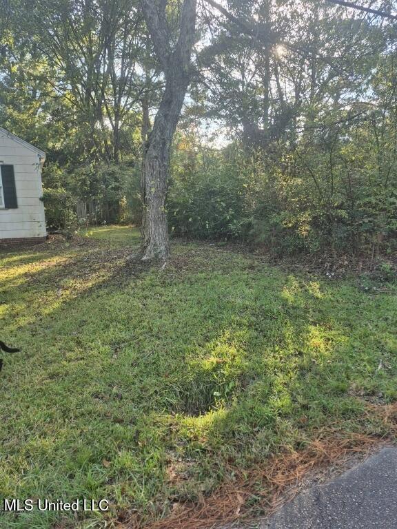 215 South Monroe Street Canton, MS 39046 - Photo 2 of 5 02-Photo 2