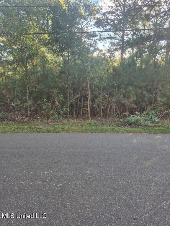 215 South Monroe Street Canton, MS 39046 - Photo 5 of 5 05-Photo 5