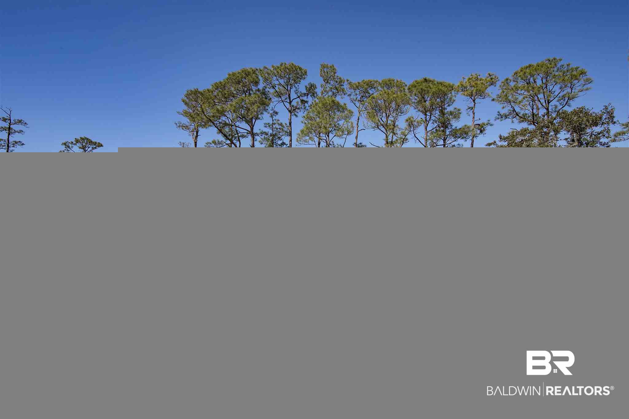 5159 Sampson Avenue Orange Beach, AL 36561 - Photo 3 of 37