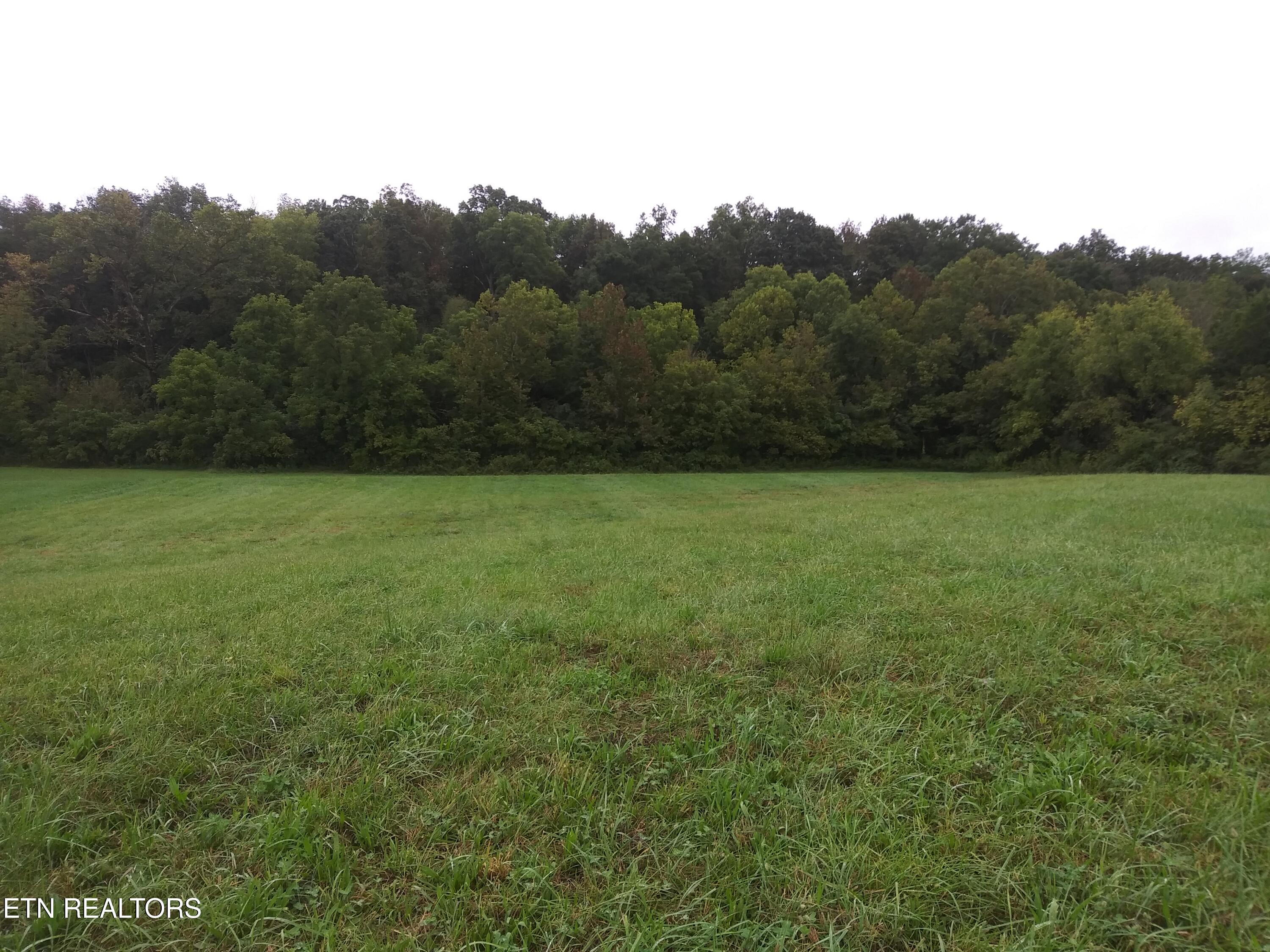 1333 Cherry Street Rutledge, TN 37861 - Photo 24 of 26 Cleared