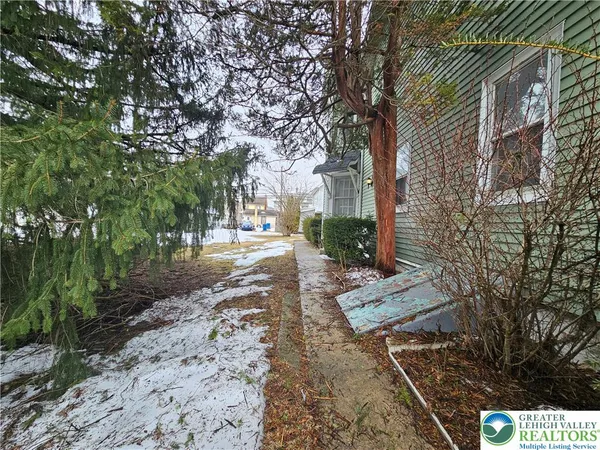a view of a yard with plants and large trees