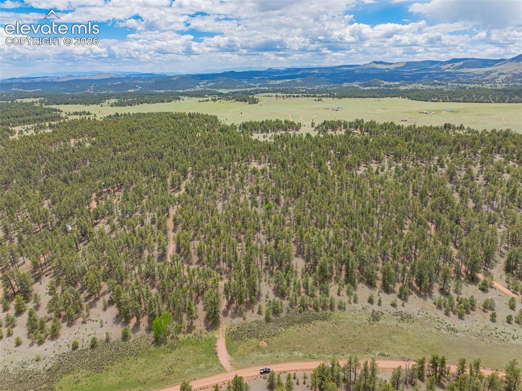 4250 Doe Valley Road Guffey, CO 80820 - Photo 7 of 35
