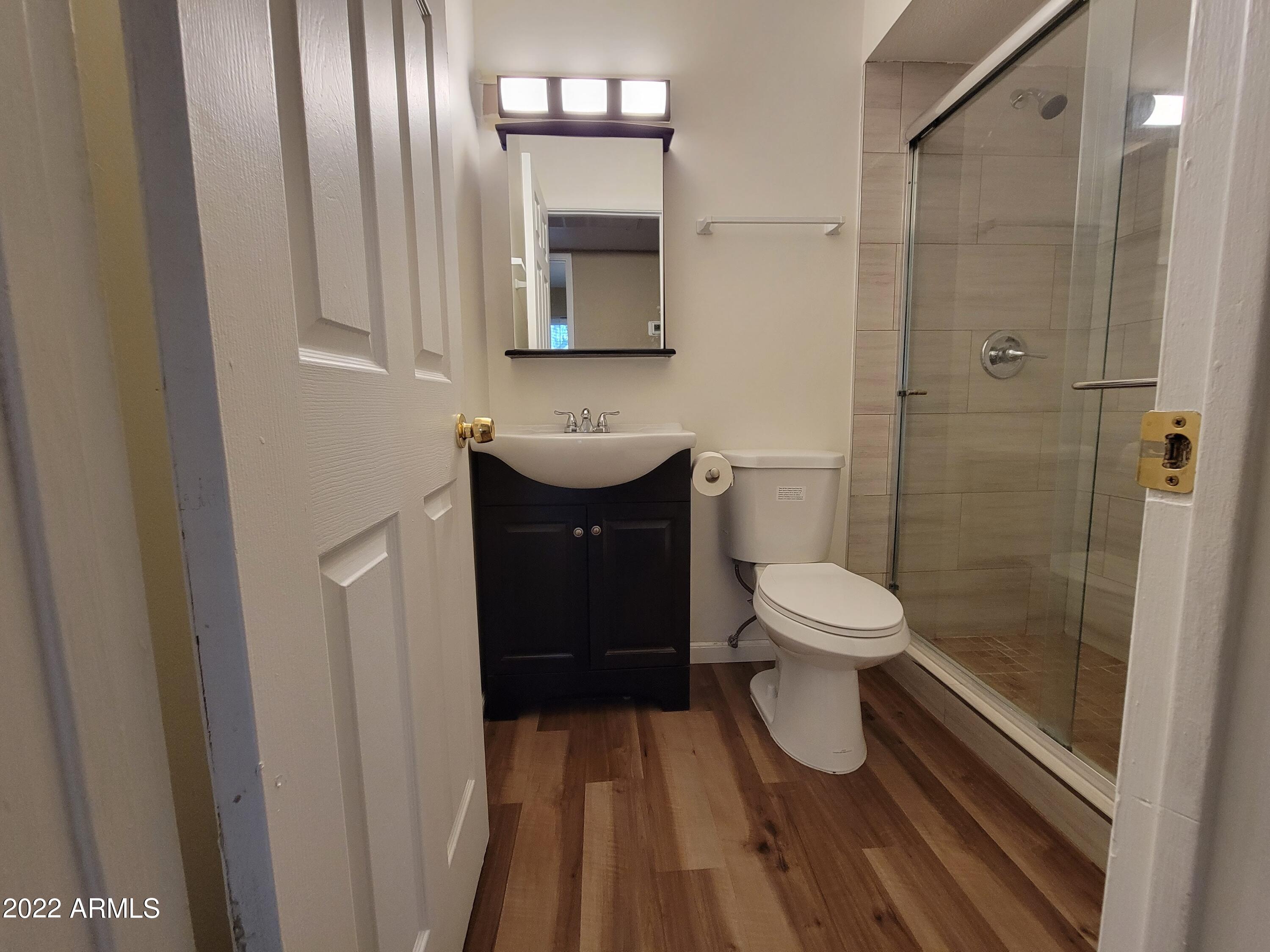 2042 West Decatur Street Mesa, AZ 85201 - Photo 19 of 38 a bathroom with a toilet a sink and mirror
