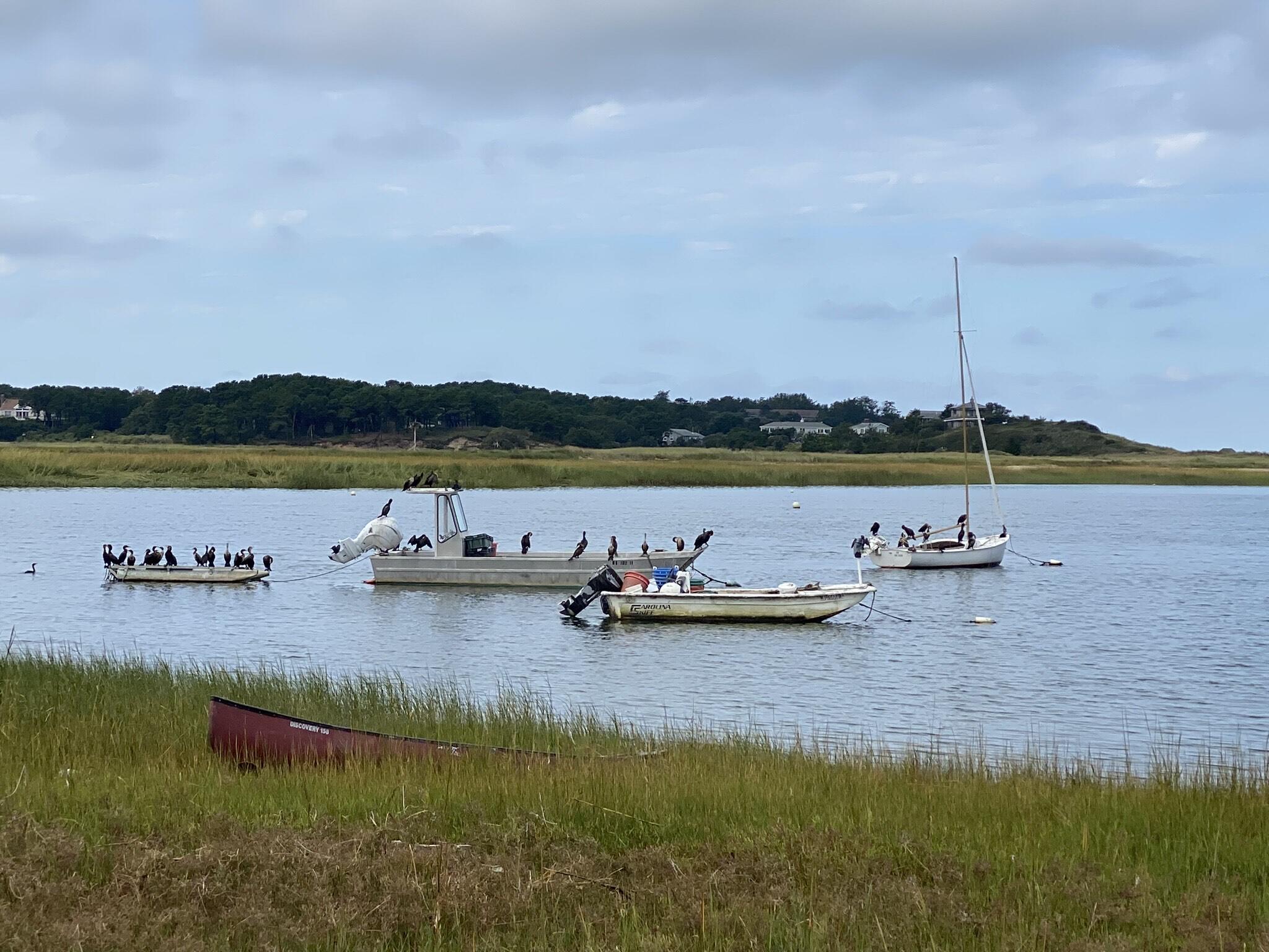 330 Old Wharf Road Wellfleet, MA 02667 - Photo 34 of 40 .4 mi. Old Wharf Point
