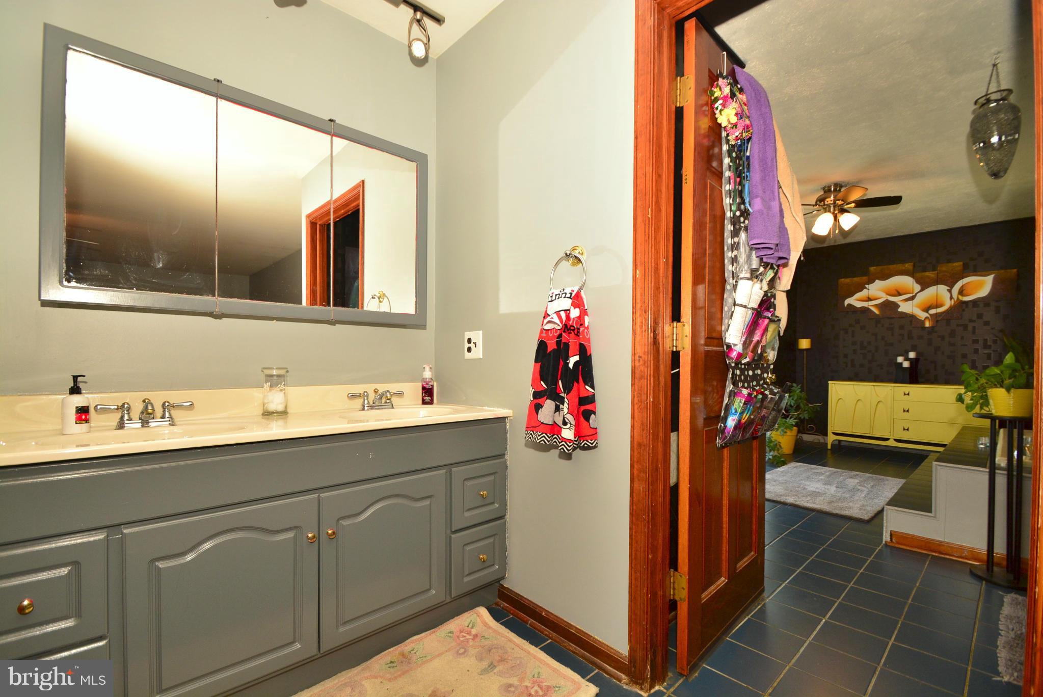 6 Maple Lane Elkton, MD 21921 - Photo 14 of 24 Bath (Master)