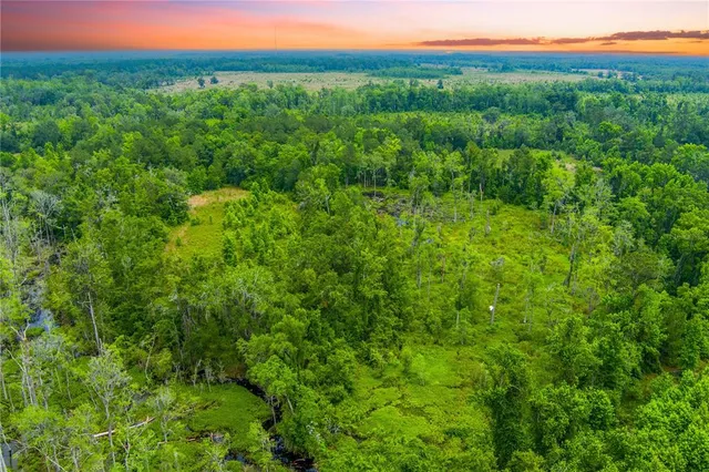 a view of a lush green forest with trees and some houses