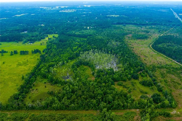 a view of a green field with lots of bushes