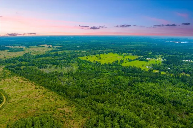 a view of an outdoor space and a yard
