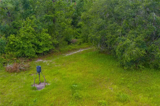 a swimming pool with some plants and large trees