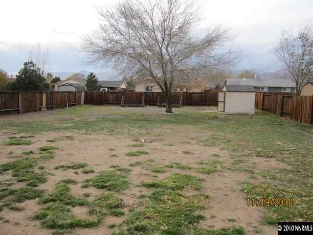111 Empire Road Dayton, NV 89403 - Photo 13 of 13 a view of a backyard