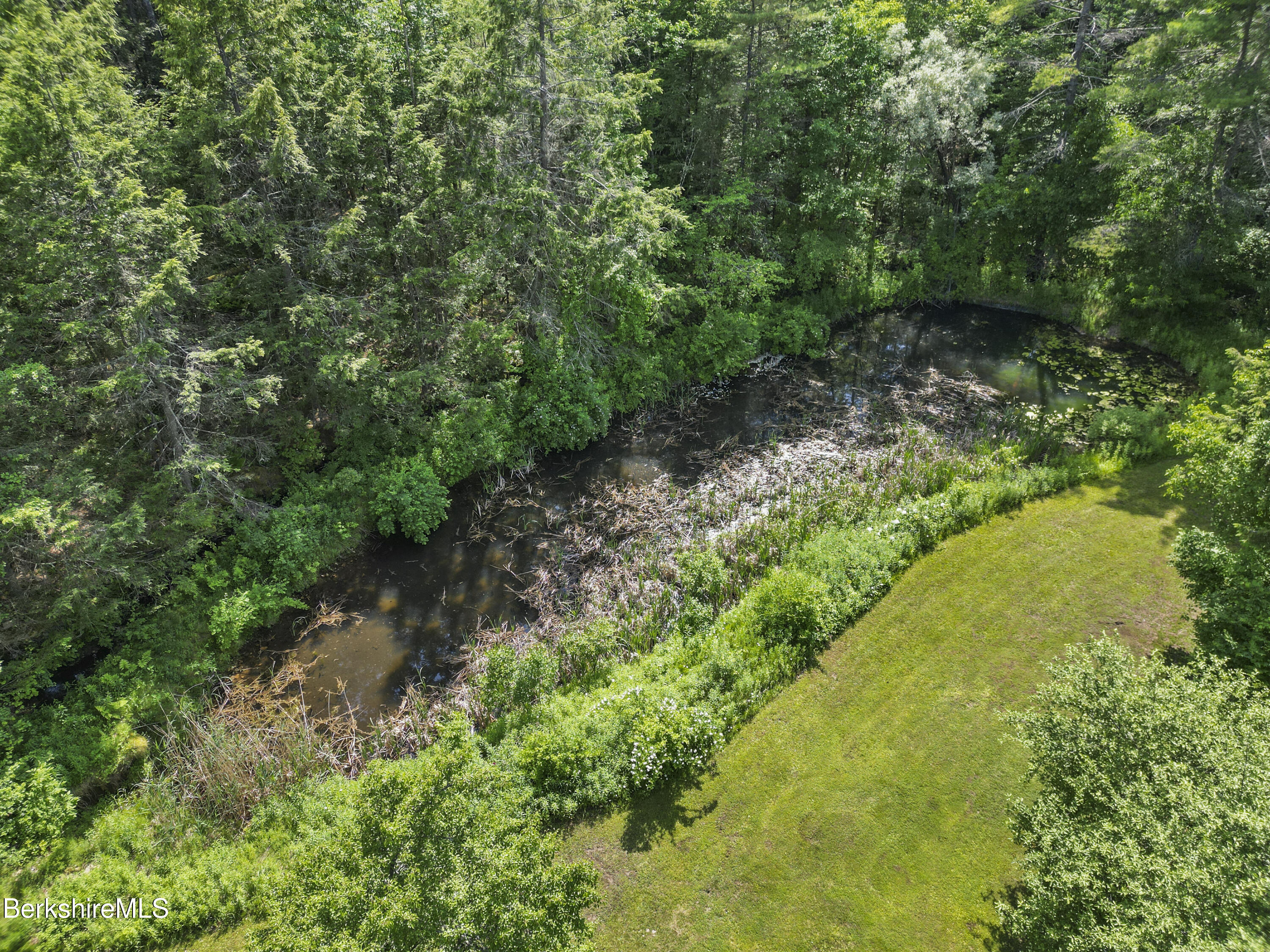 240 Kirchner Road Dalton, MA 01226 - Photo 6 of 51 a view of a garden with a building