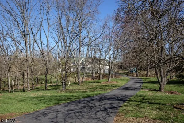 a view of a park with large trees