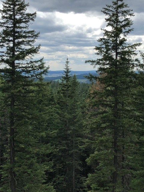 0 East Eagle Ridge Lane Mead, WA 99021 - Photo 2 of 11