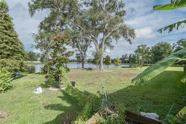 a view of a hallway with wooden floor and a potted plant