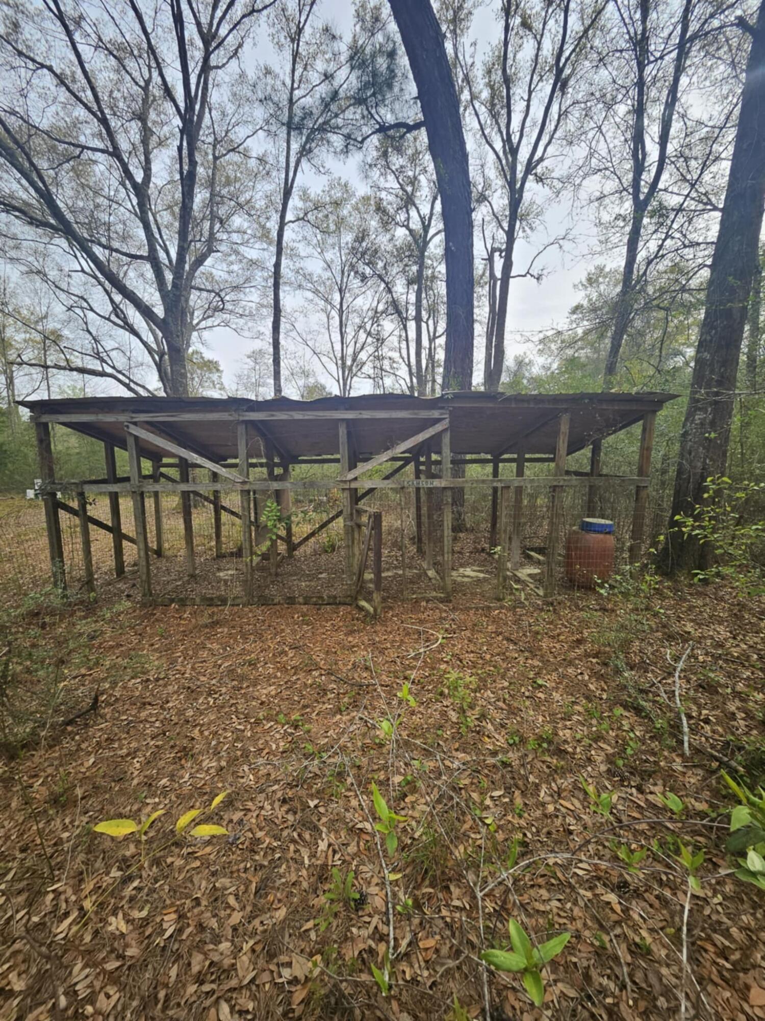 1400 Grant Road Ponce de Leon, FL 32455 - Photo 7 of 11 a view of yard with trees