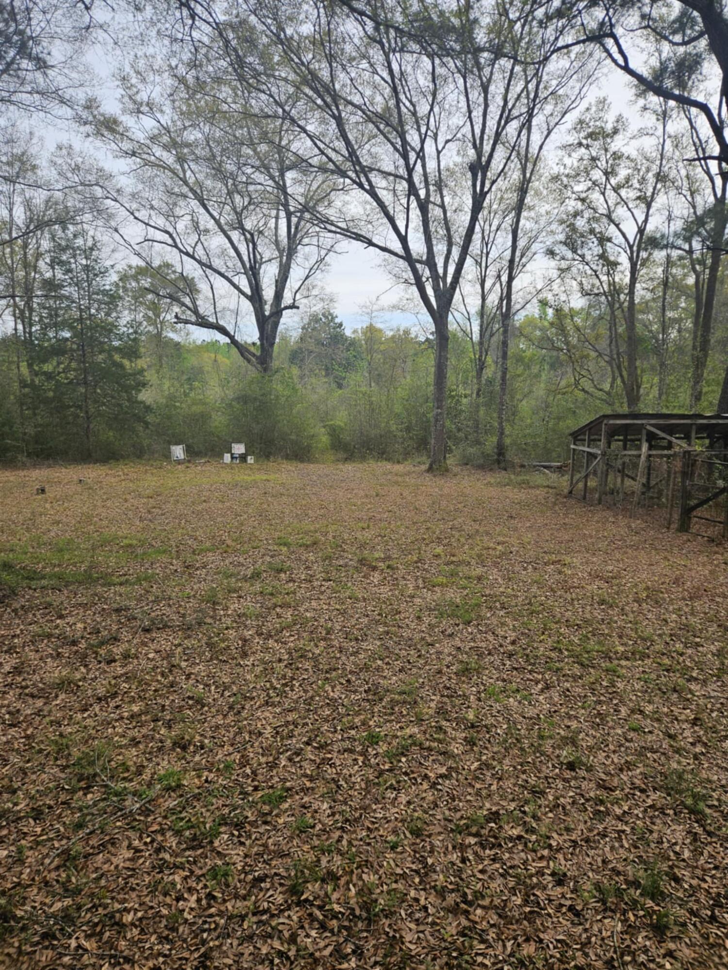 1400 Grant Road Ponce de Leon, FL 32455 - Photo 9 of 11 a view of outdoor space and yard