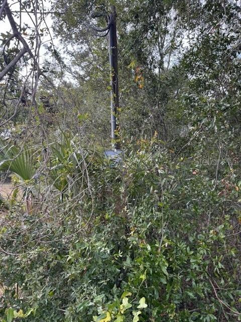 23125 West Newberry Road Newberry, FL 32669 - Photo 18 of 20 Gallery Image 18