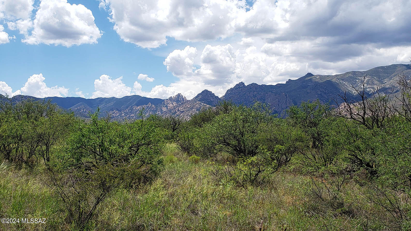 40-ac West Redhead Road Cochise, AZ 85606 - Photo 30 of 38 Gallery Image 30