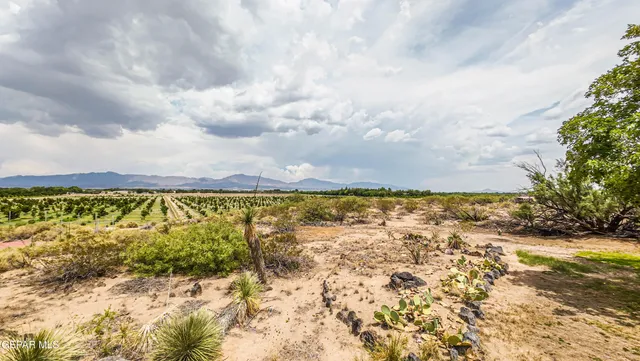 $650,000 | 6540 McNutt Road, Anthony, NM 88021
