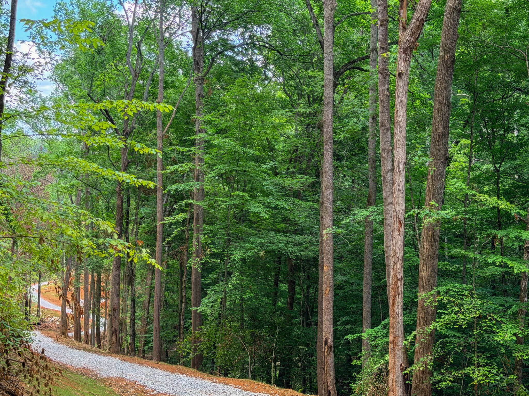 1 Budds Creek Road Palmyra, TN 37142 - Photo 27 of 76