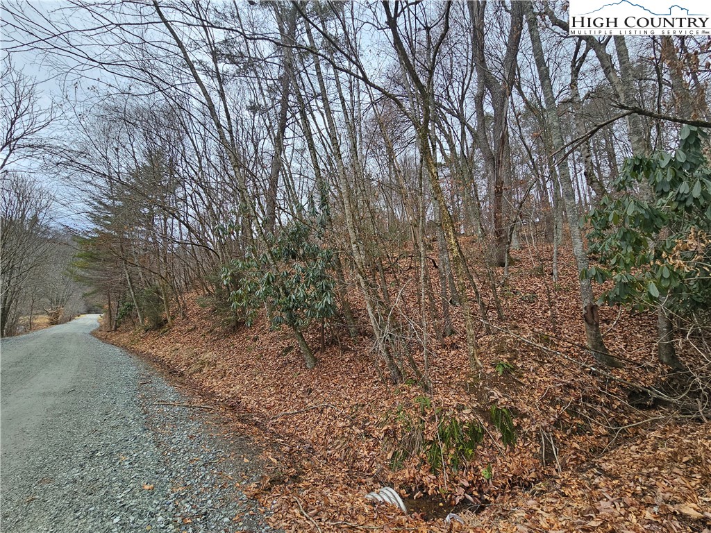 Riverside Drive Boone, NC 28607 - Photo 1 of 17 a view of a yard with a tree