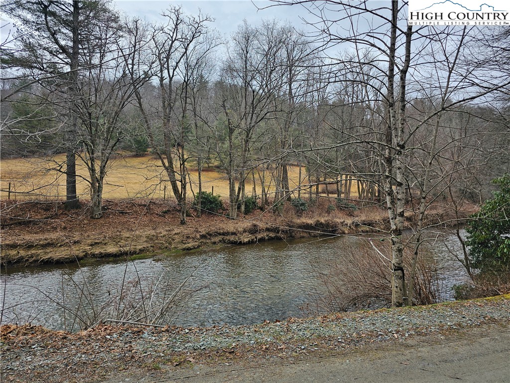 Riverside Drive Boone, NC 28607 - Photo 11 of 17 a view of a yard with large trees
