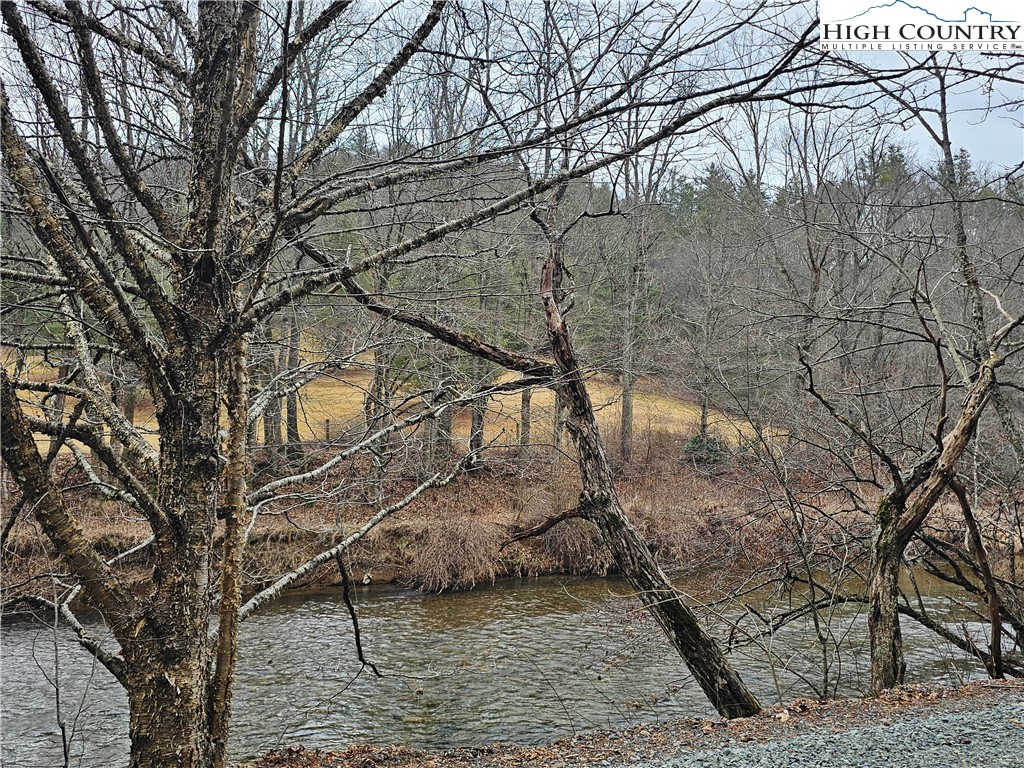 Riverside Drive Boone, NC 28607 - Photo 13 of 17 a backyard of a house with large trees