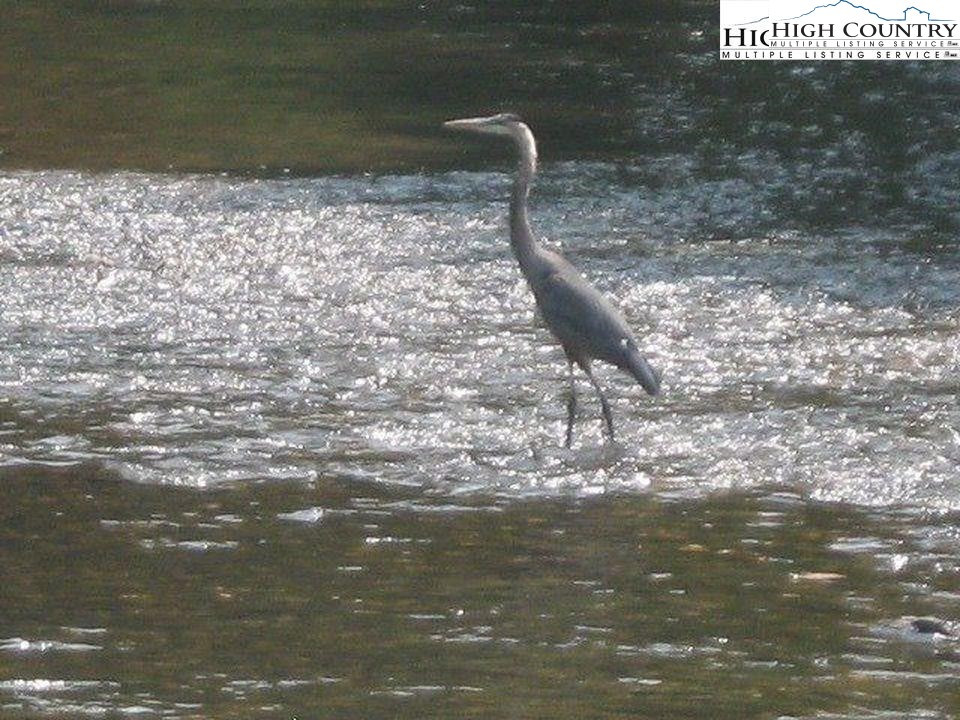 Riverside Drive Boone, NC 28607 - Photo 17 of 17 a close up of a sink