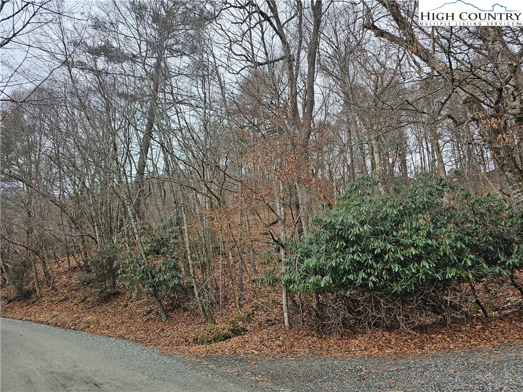 Riverside Drive Boone, NC 28607 - Photo 5 of 17 a backyard of a house with lots of green space