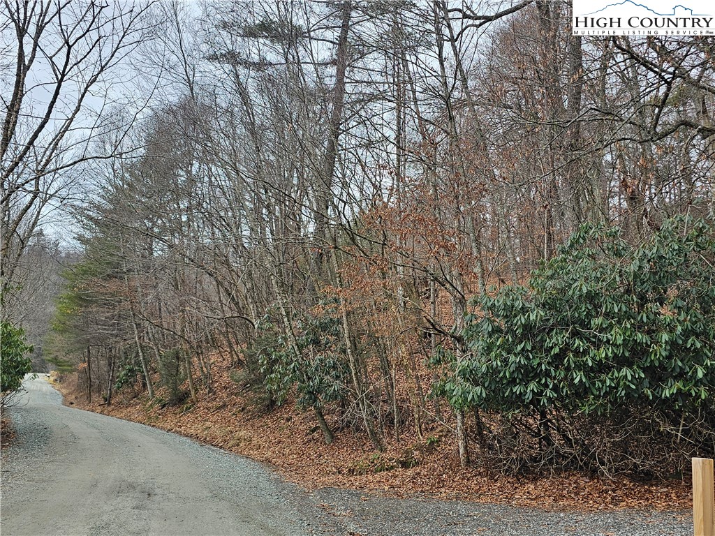 Riverside Drive Boone, NC 28607 - Photo 6 of 17 a backyard of a house with lots of green space