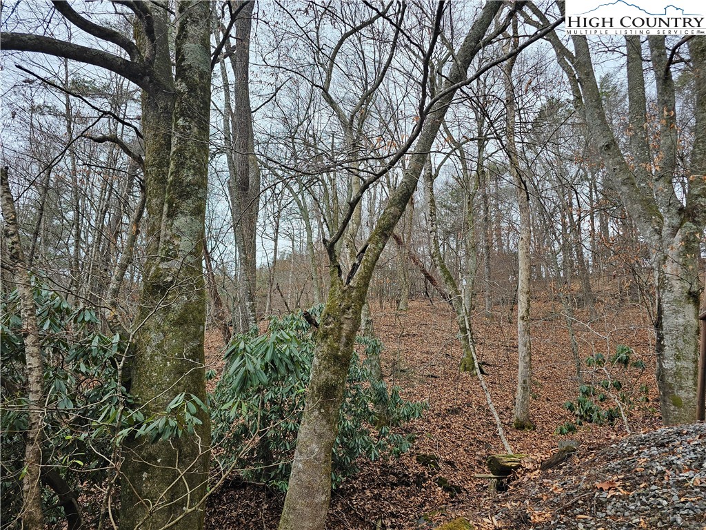 Riverside Drive Boone, NC 28607 - Photo 7 of 17 a view of a yard