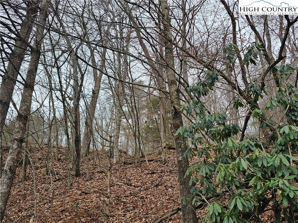 Riverside Drive Boone, NC 28607 - Photo 8 of 17 a backyard of a house with lots of green space