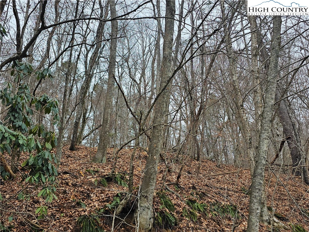 Riverside Drive Boone, NC 28607 - Photo 9 of 17 a view of a yard with a tree