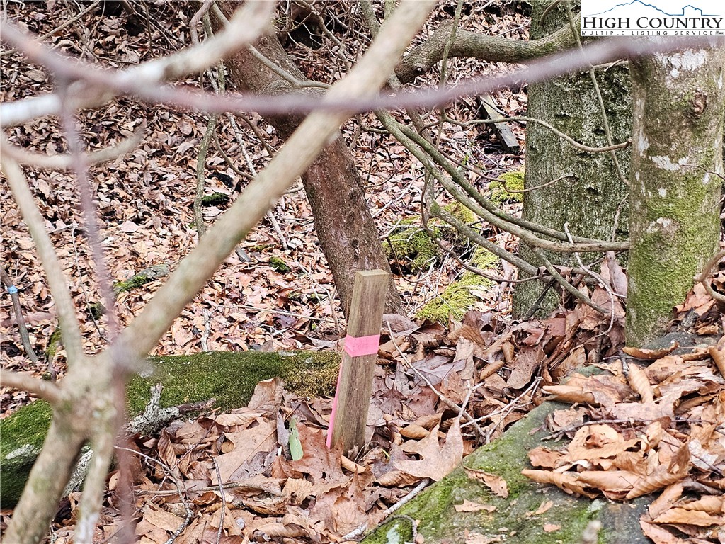 Riverside Drive Boone, NC 28607 - Photo 10 of 17