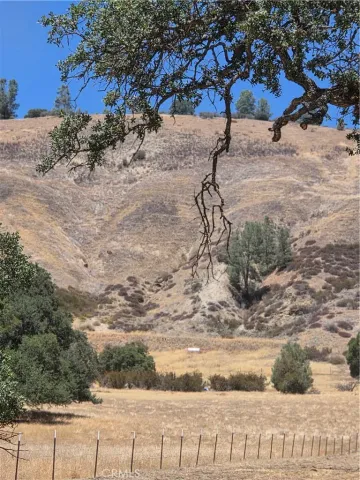 a view of a yard with wooden fence