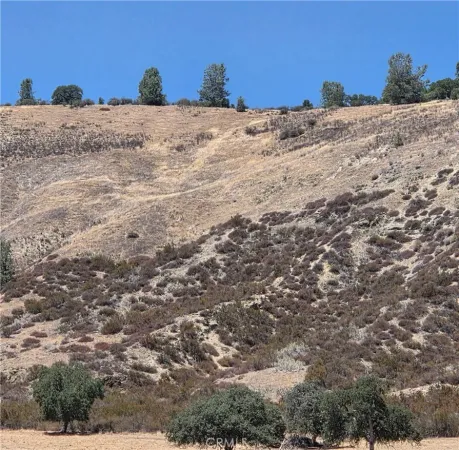 a view of ocean and with trees