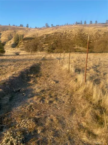 a view of outdoor space with green field and covered with trees