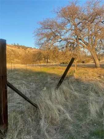 a view of outdoor space with green field and covered with trees