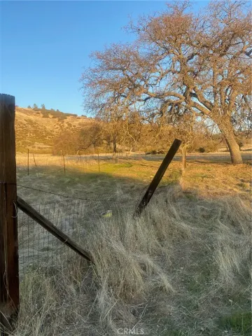 a front view of house with yard and trees in the background