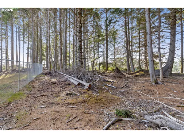 a view of backyard with green space