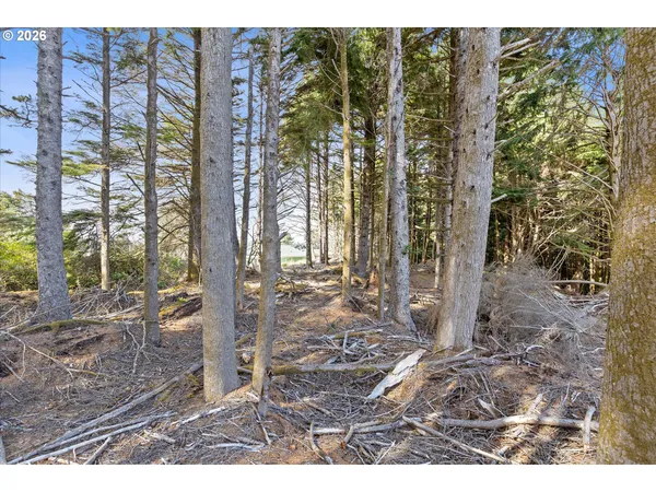 a view of a porch with a floor to ceiling window and yard