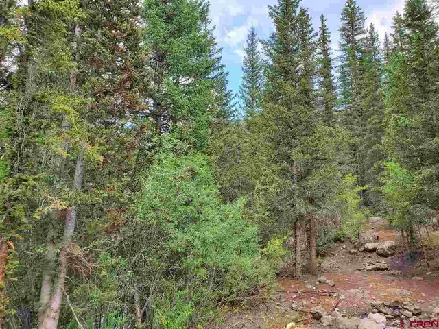 a view of a forest with trees and houses