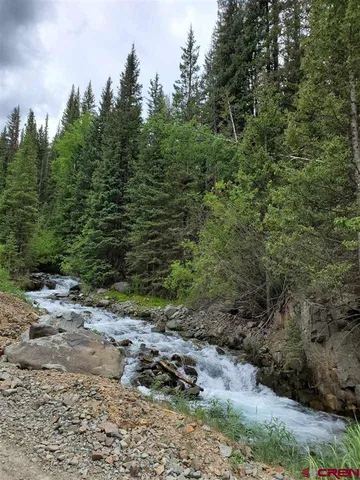 a view of a large yard with lots of trees