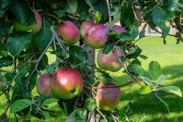 $630,000 | E9275 Prairie Road, Prairie du Sac, WI 53578