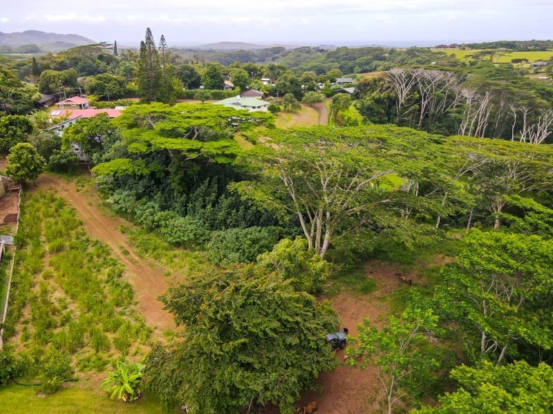 37 Omao Road Koloa, HI 96756 - Photo 5 of 29