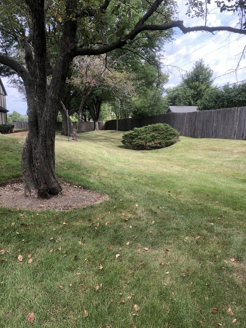 2610 Northampton Drive, Unit B1 Rolling Meadows, IL 60008 - Photo 16 of 16 a front view of a house with a yard