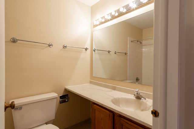 2610 Northampton Drive, Unit B1 Rolling Meadows, IL 60008 - Photo 8 of 16 a bathroom with a sink and a mirror